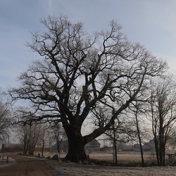 różne